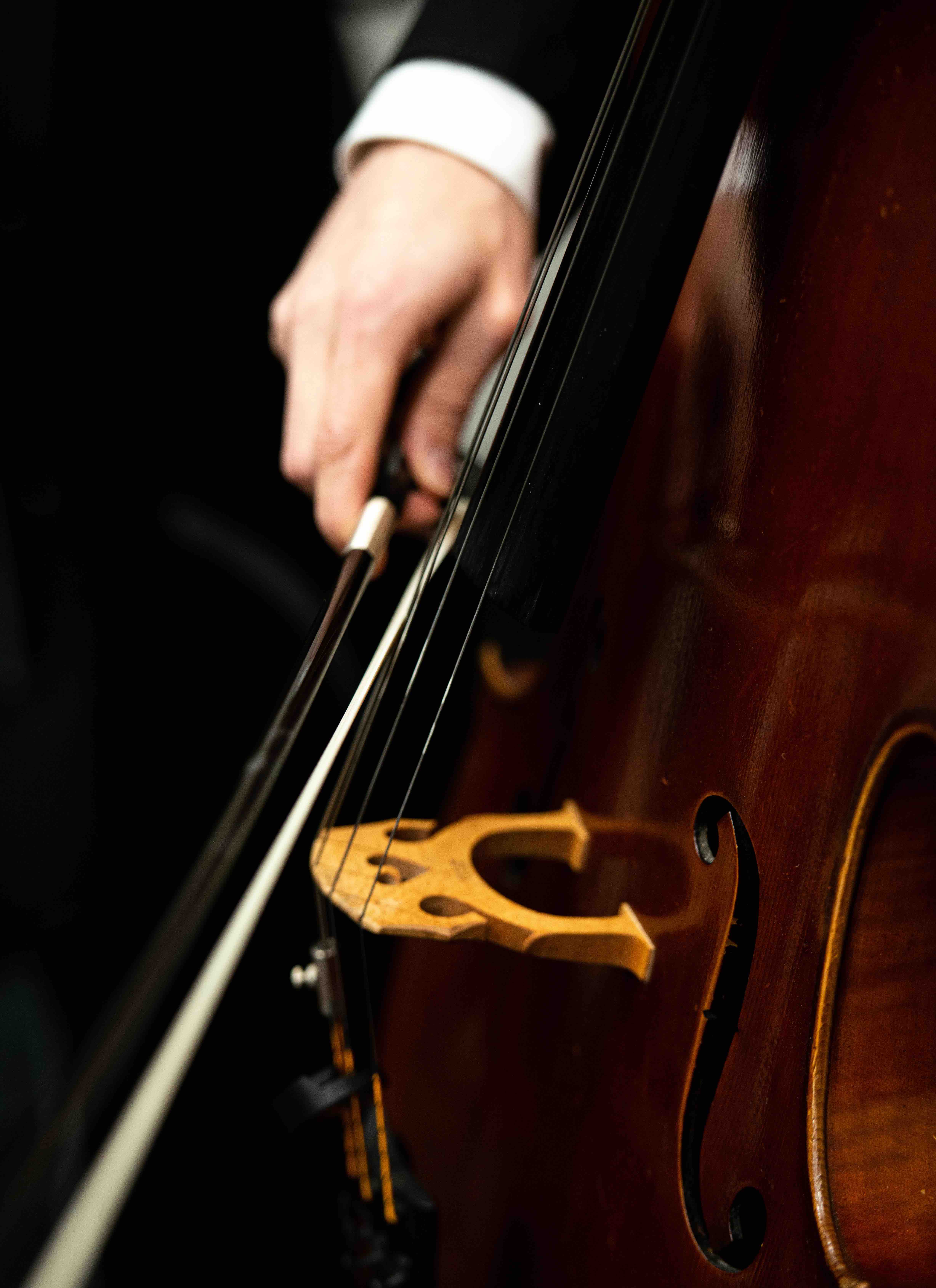 Cello close up
